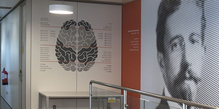 Proyecto de diseño grafico ambiental – Achucarro Proyecto de diseño grafico ambiental - Achucarro