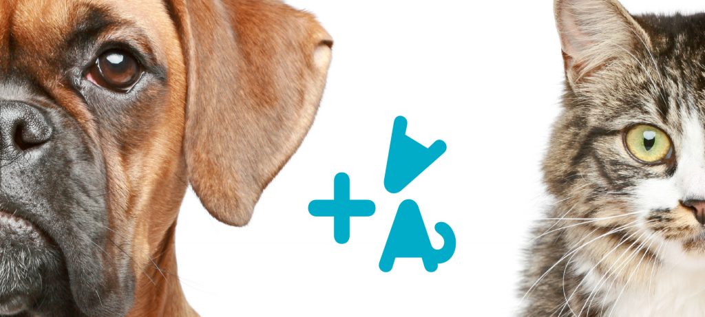 Clínica veterinaria ZABALEA Logotipo Papeleria Diseño ambiental