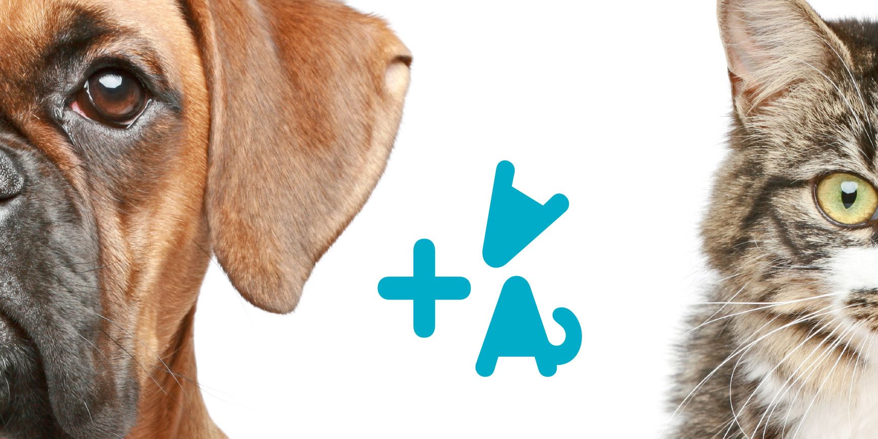 Clínica veterinaria ZABALEA Logotipo Papeleria Diseño ambiental Clínica veterinaria ZABALEA Logotipo Papeleria Diseño ambiental