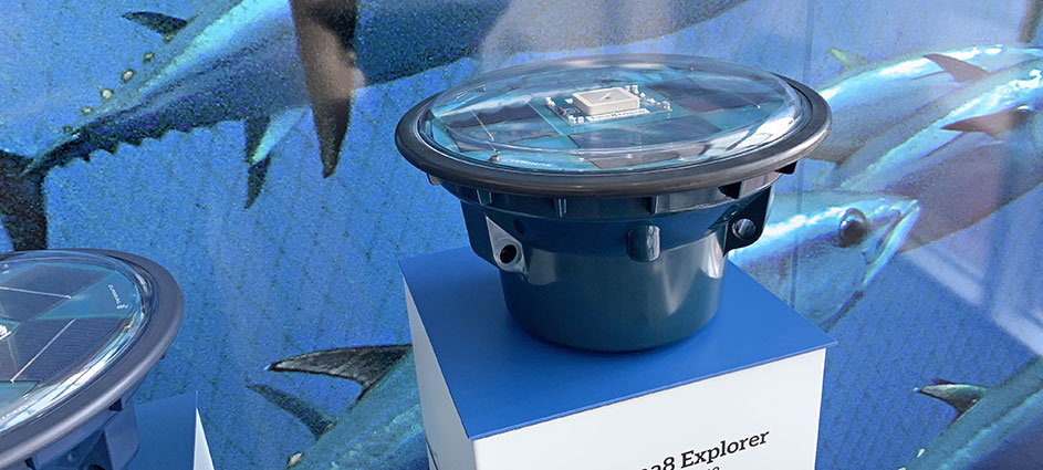 Decoración y señalética de diferentes estancias con imágenes de gran formato e ilustraciones personalizadas.