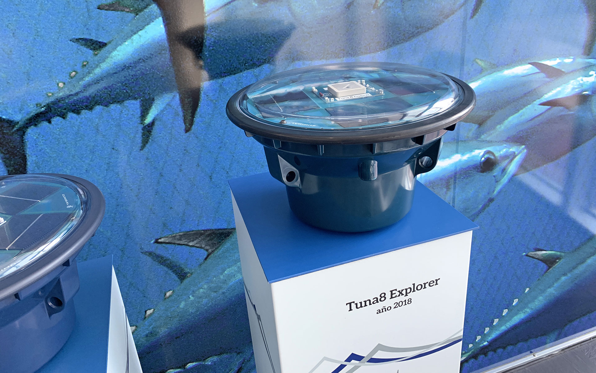 ZUNIBAL - Decoración y señalética