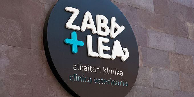 Diseño corporativo Diseño corporativo