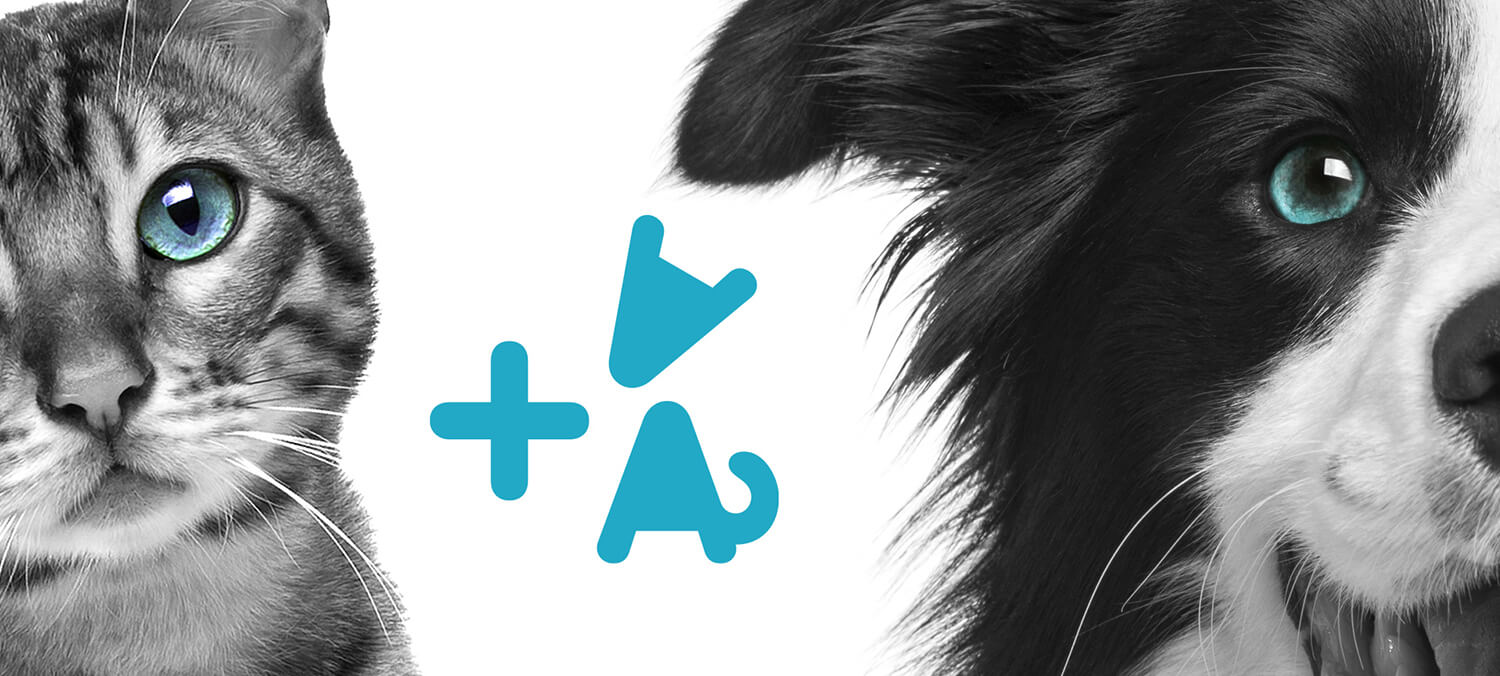 ZABALEA Clínica Veterinaria - Proyecto de identidad corporativa y diferentes soportes de comunicación.