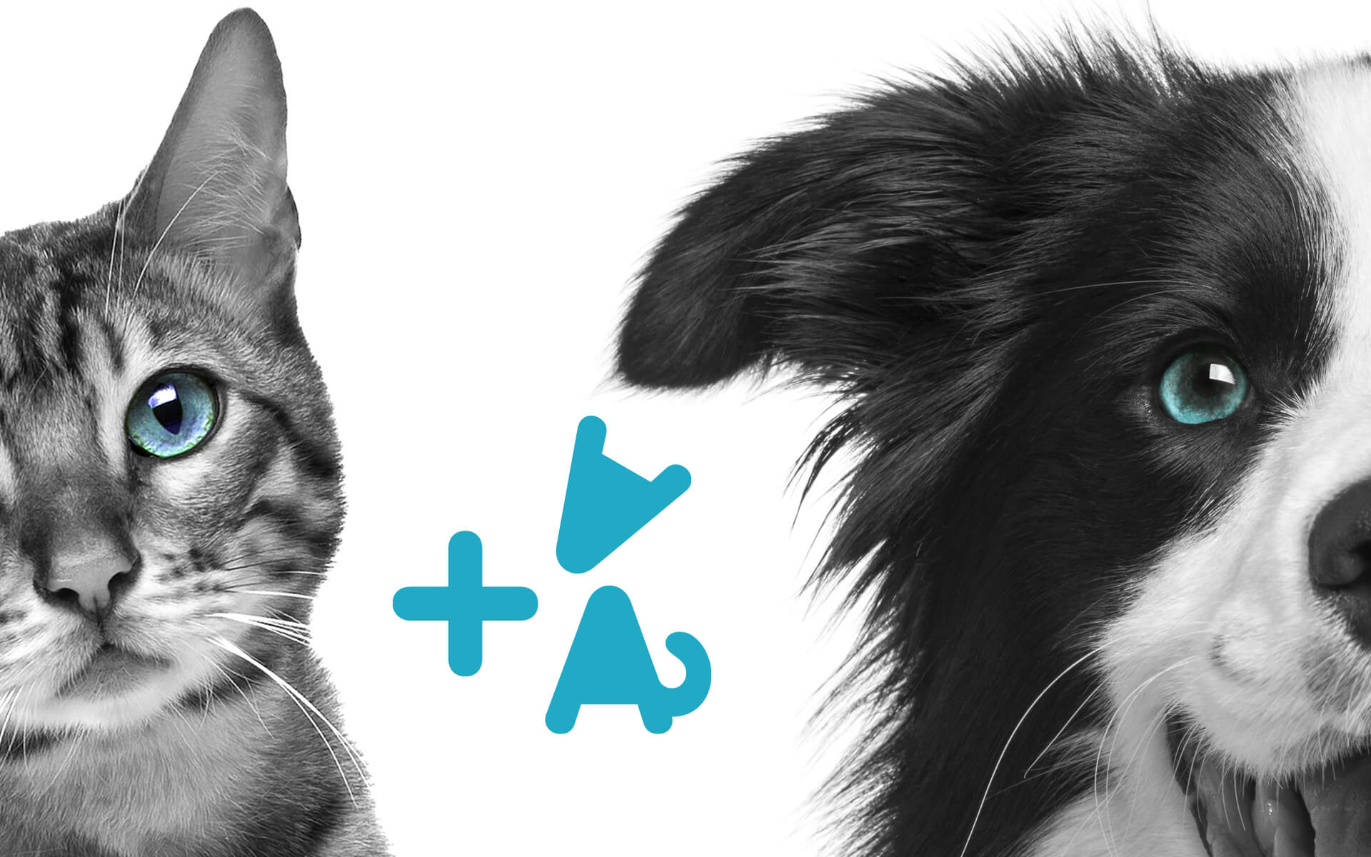 ZABALEA Clínica Veterinaria - Proyecto de identidad corporativa y diferentes soportes de comunicación.