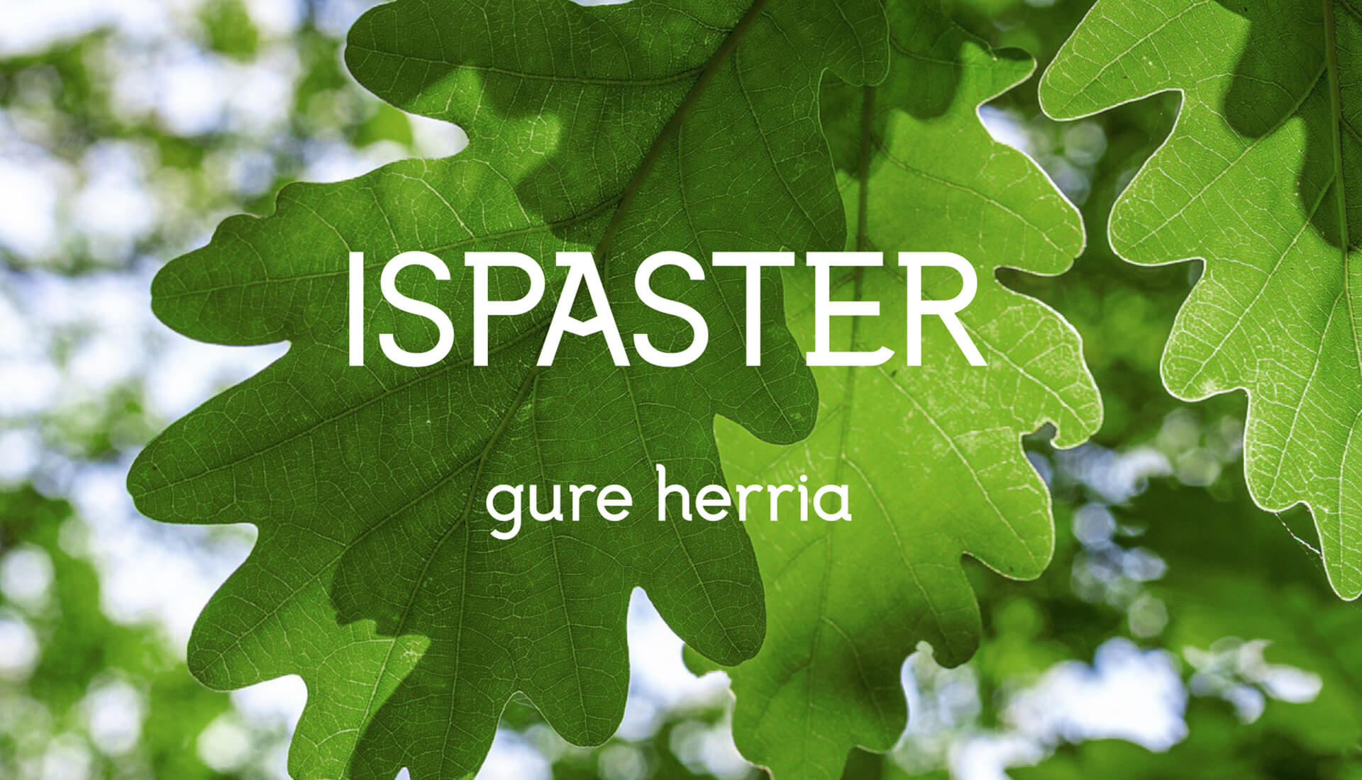 ISPASTER UDALA - Proyecto de identidad corporativa y diferentes soportes de comunicación.