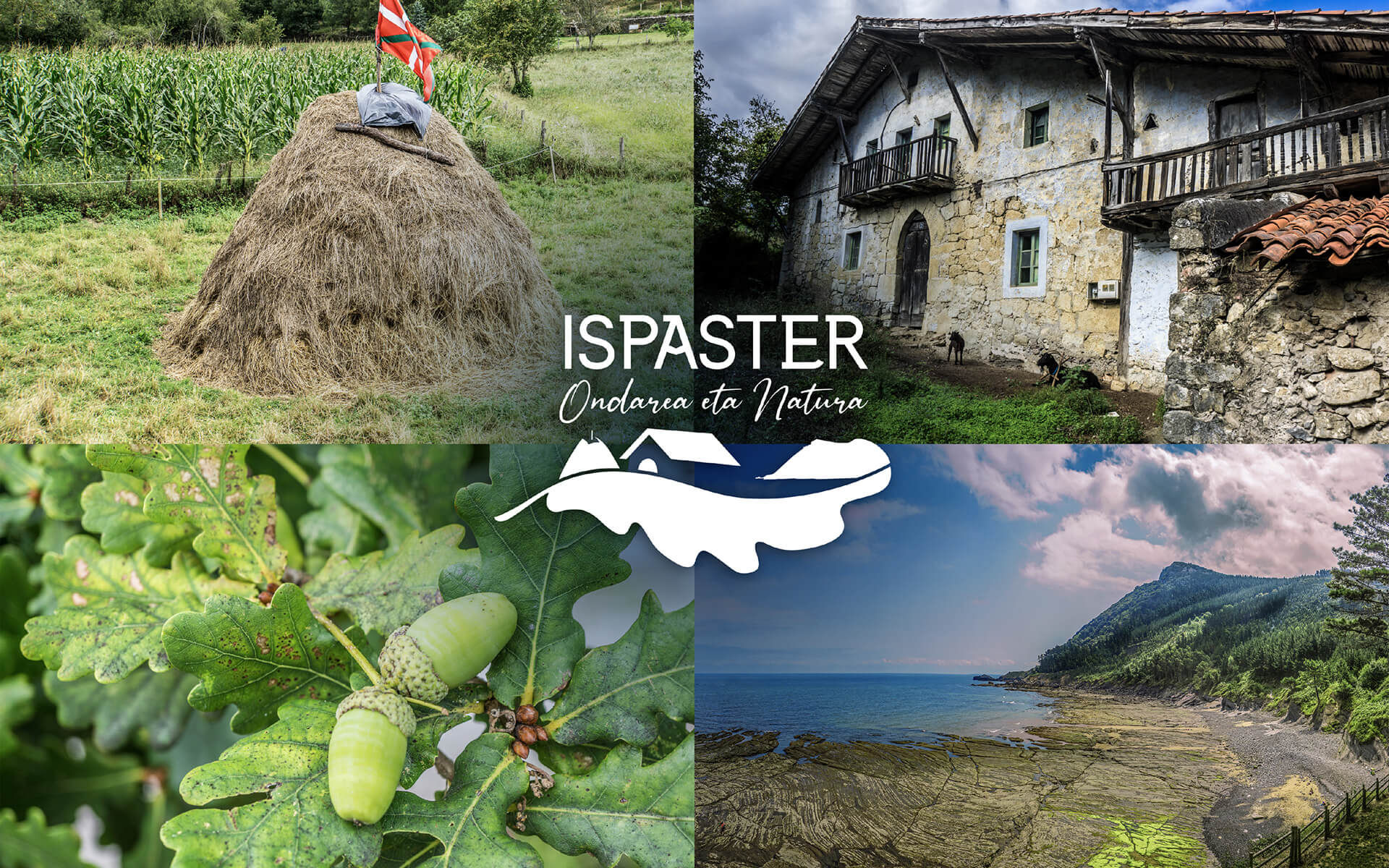 ISPASTER UDALA - Proyecto de identidad corporativa y diferentes soportes de comunicación.